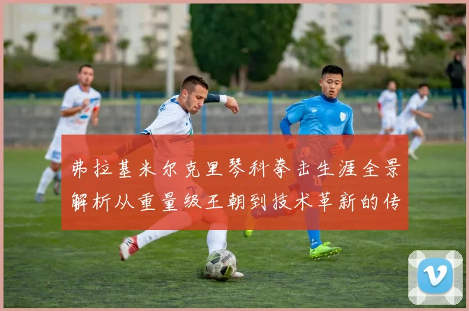 弗拉基米尔克里琴科拳击生涯全景解析从重量级王朝到技术革新的传奇之路