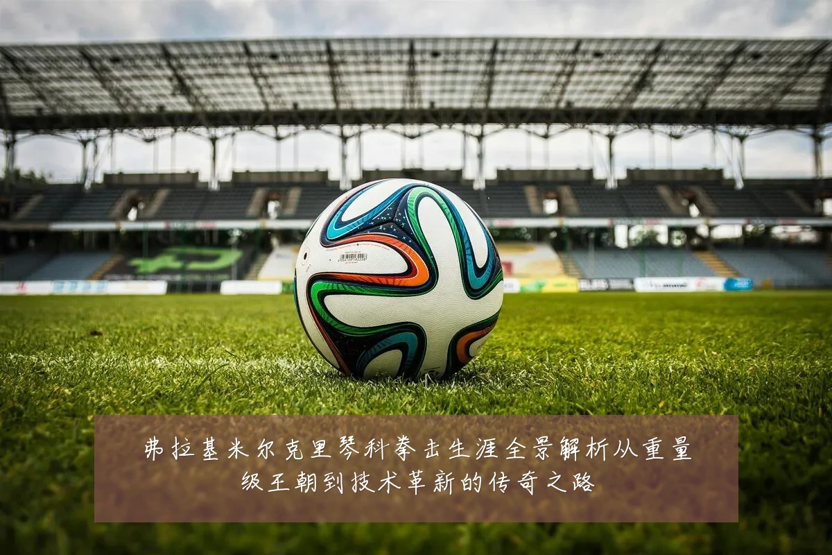 弗拉基米尔克里琴科拳击生涯全景解析从重量级王朝到技术革新的传奇之路